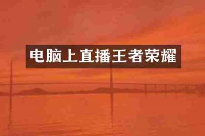 电脑上直播王者荣耀