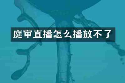 庭审直播怎么播放不了