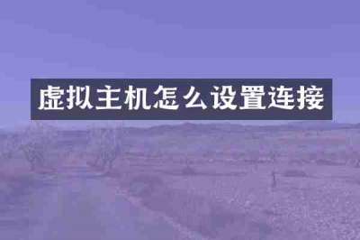 虚拟主机怎么设置连接