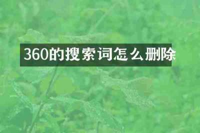 360的搜索词怎么删除