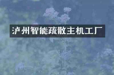 泸州智能疏散主机工厂