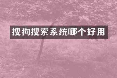 搜狗搜索系统哪个好用