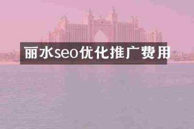 丽水seo优化推广费用
