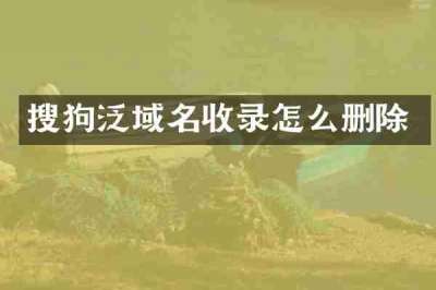 搜狗泛域名收录怎么删除