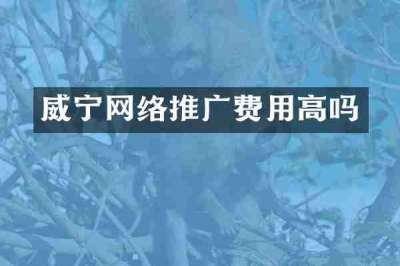 威宁网络推广费用高吗