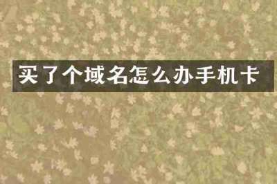 买了个域名怎么办手机卡