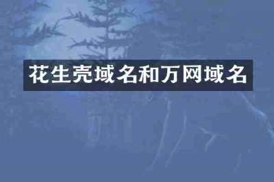 花生壳域名和万网域名