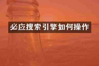 必应搜索引擎如何操作