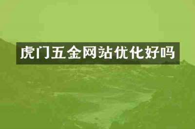虎门五金网站优化好吗