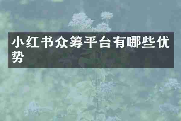 小红书众筹平台有哪些优势