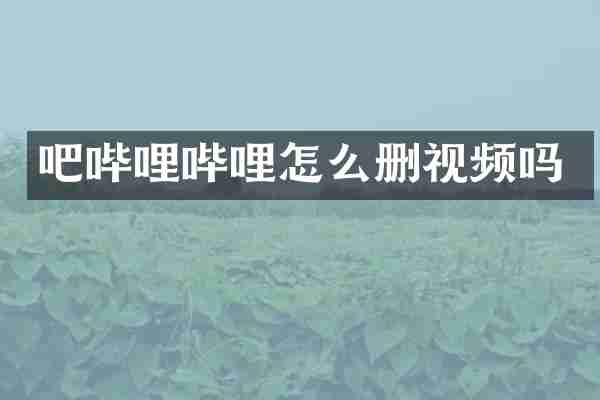 吧哔哩哔哩怎么删视频吗