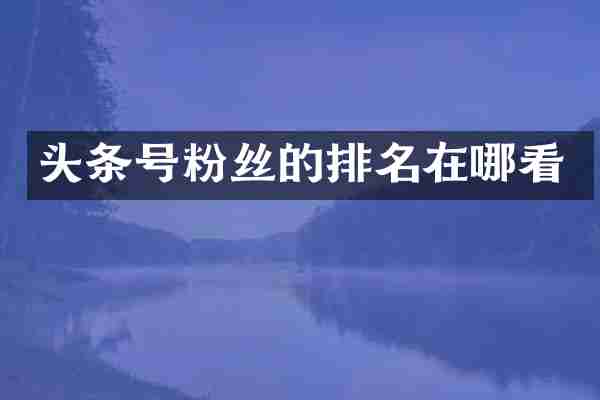 头条号粉丝的排名在哪看