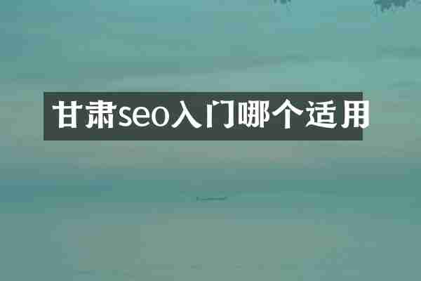 甘肃seo入门哪个适用