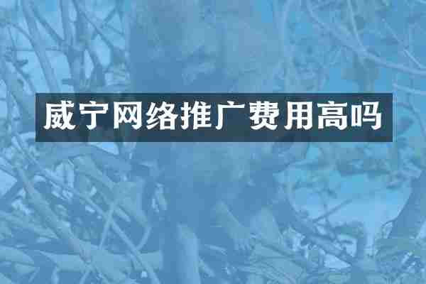威宁网络推广费用高吗