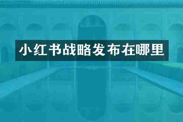 小红书战略发布在哪里