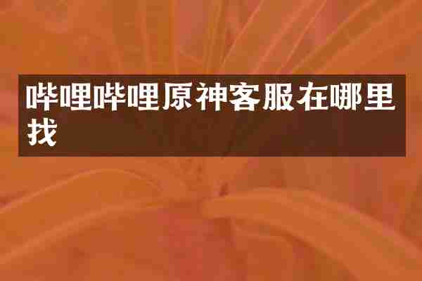 哔哩哔哩原神客服在哪里找