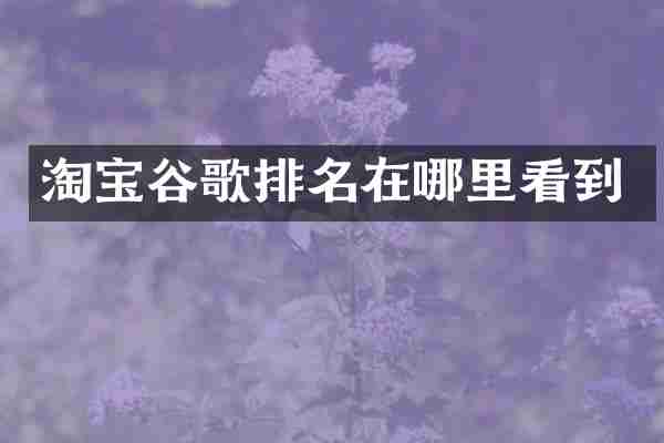 淘宝谷歌排名在哪里看到