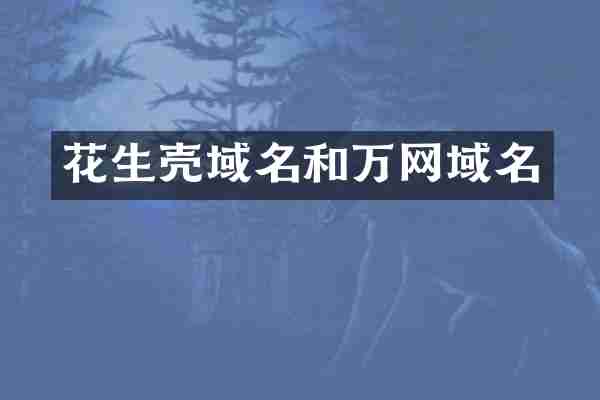 花生壳域名和万网域名