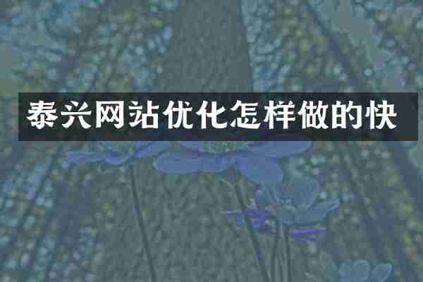 泰兴网站优化怎样做的快