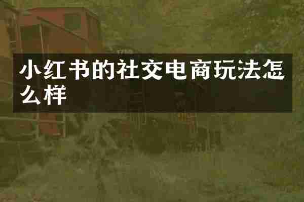 小红书的社交电商玩法怎么样