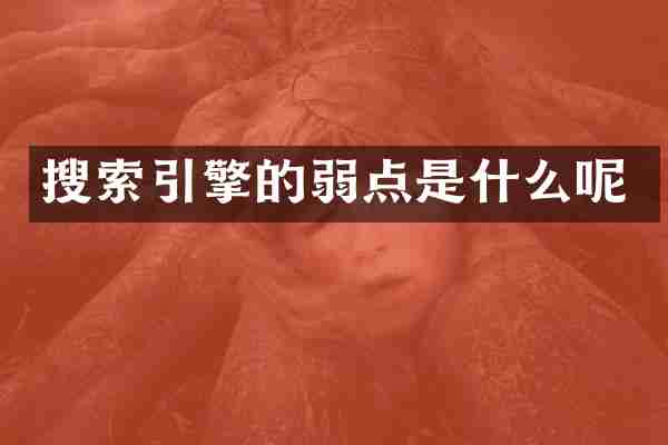 搜索引擎的弱点是什么呢