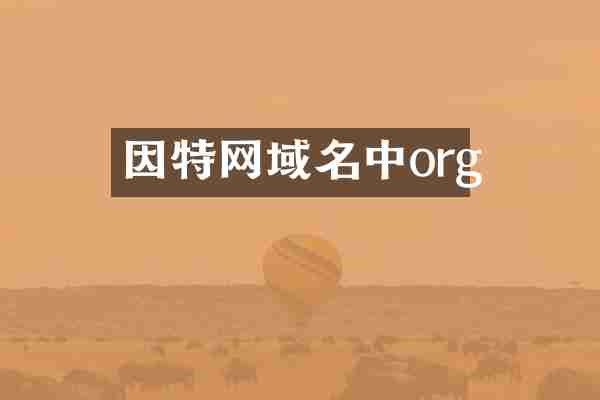 因特网域名中org