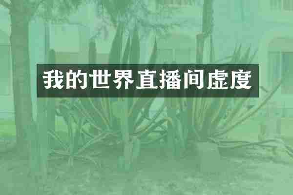 我的世界直播间虚度