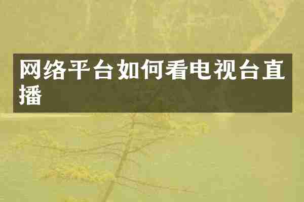 网络平台如何看电视台直播