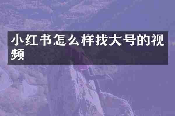 小红书怎么样找大号的视频