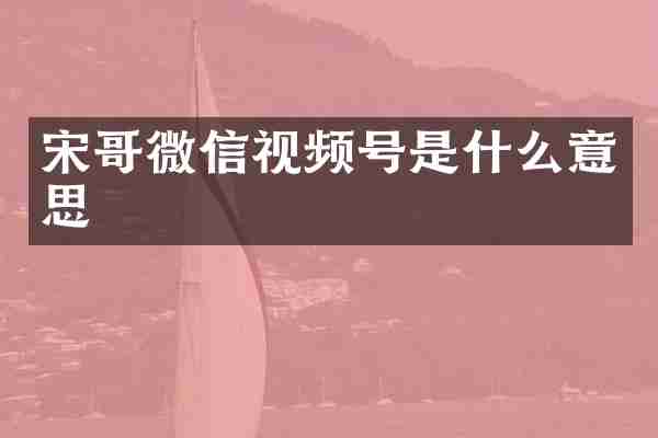宋哥微信视频号是什么意思