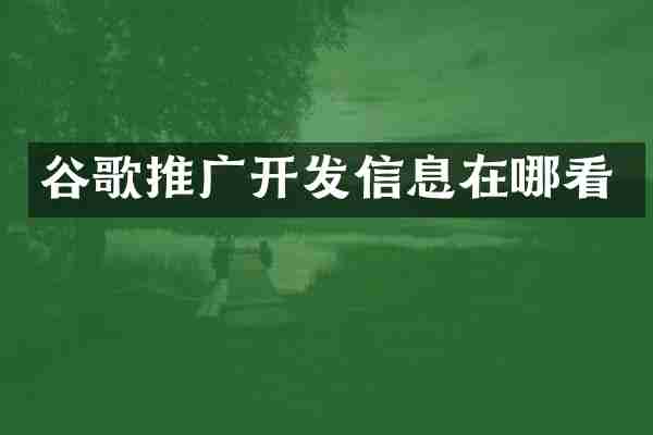 谷歌推广开发信息在哪看