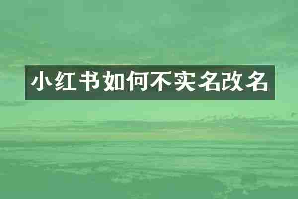 小红书如何不实名改名