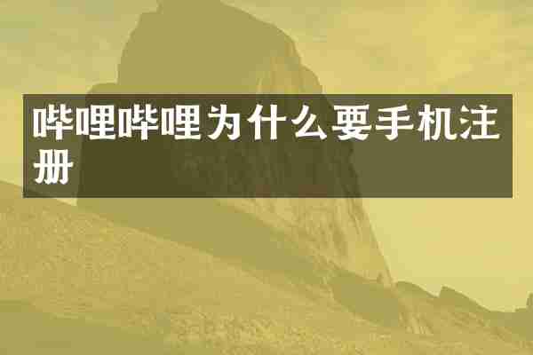 哔哩哔哩为什么要手机注册