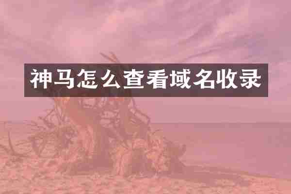 神马怎么查看域名收录