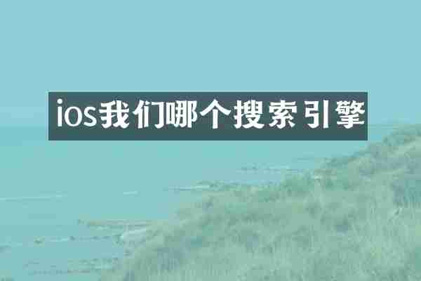 ios我们哪个搜索引擎