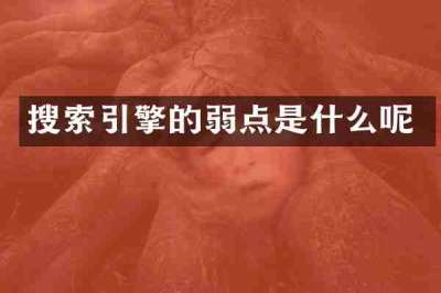 搜索引擎的弱点是什么呢