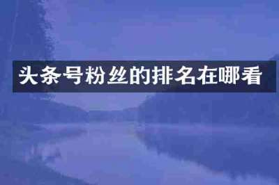 头条号粉丝的排名在哪看