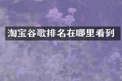 淘宝谷歌排名在哪里看到