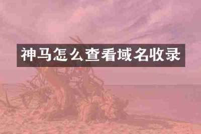 神马怎么查看域名收录