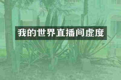 我的世界直播间虚度