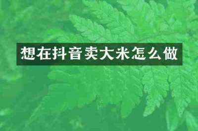 想在抖音卖大米怎么做
