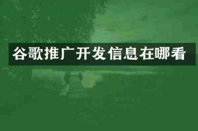 谷歌推广开发信息在哪看