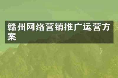 赣州网络营销推广运营方案
