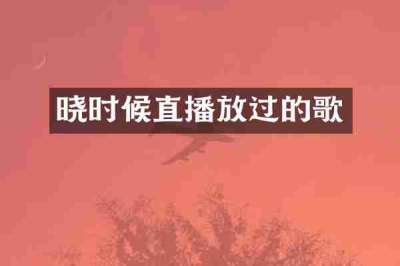 晓时候直播放过的歌
