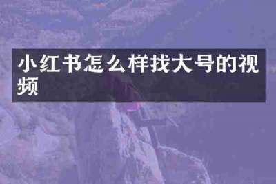 小红书怎么样找大号的视频