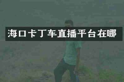 海口卡丁车直播平台在哪