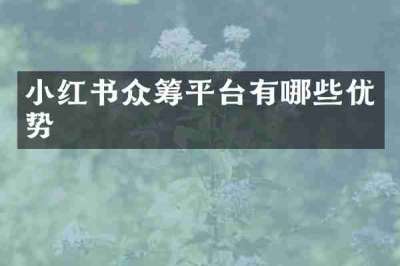 小红书众筹平台有哪些优势