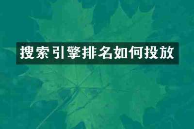 搜索引擎排名如何投放