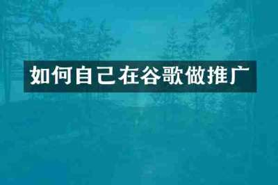 如何自己在谷歌做推广