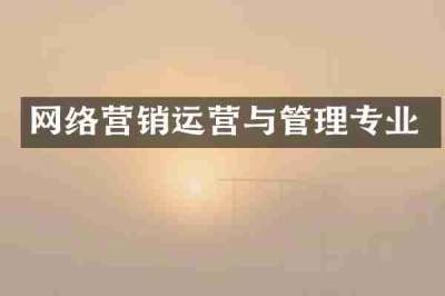 网络营销运营与管理专业
